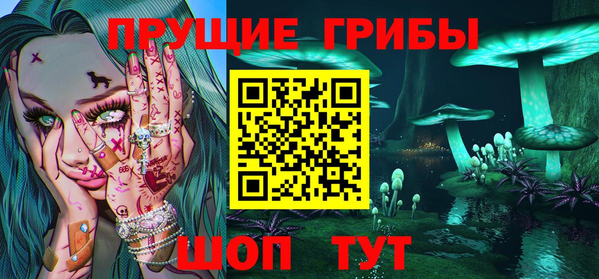 Галлюциногенные грибы мухоморы  Вход с VPN  Галлюциногенные грибы прущие грибы  Серов 